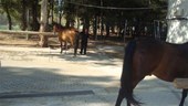 DSC01650.JPG