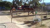 DSC01652.JPG