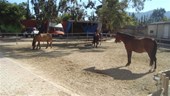 DSC01653.JPG