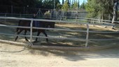 DSC01654.JPG
