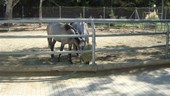 DSC01662.JPG