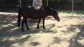 DSC01664.JPG
