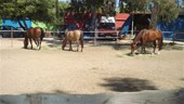DSC01667.JPG