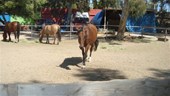 DSC01668.JPG