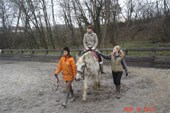 DSC08118m.jpg