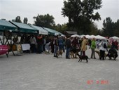 DSC09196.JPG