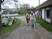 DSC09388.JPG
