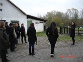DSC09435.JPG
