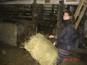 DSC09469.JPG