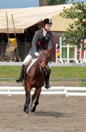 IMG_6478pat.jpg