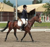 IMG_6530nik.jpg