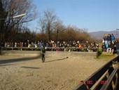 1472000_689651304408196_442270974_n.jpg