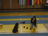 DSC00426.JPG