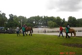 DSC08258m.jpg