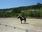 DSC08796.JPG