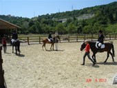 DSC08836.JPG