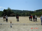 DSC08851.JPG