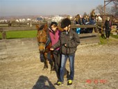 DSC09742.JPG